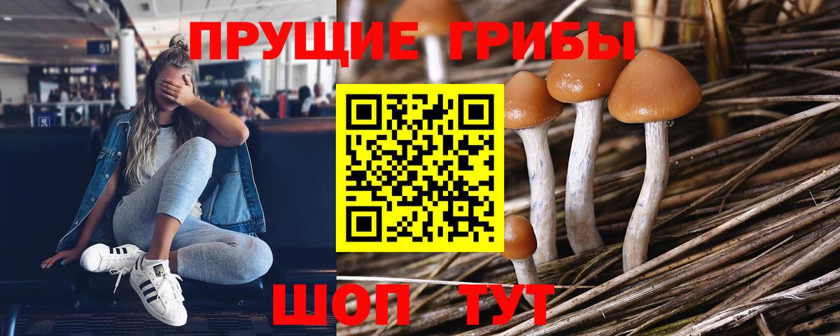 Нижневартовск  Псилоцибиновые грибы Magic Shrooms  Вход с VPN 